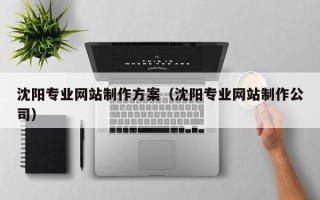灌南沈阳专业网站制作方案（沈阳专业网站制作公司）